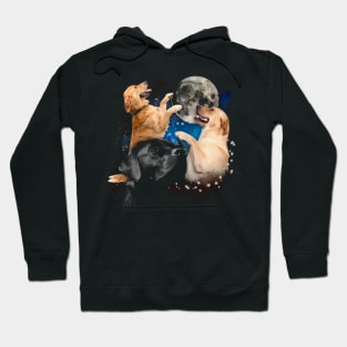 Labrador Dog Moon with Labrador Retriever-inspired Fashion Statements Hoodie